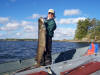 Catch n Release......50 inch, 40 lbs Muskie